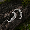 Raven Claw Hoop Earrings Thumb 03