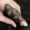 Elven Armor Ring Thumb 02